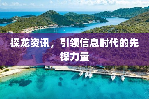 探龍資訊，引領(lǐng)信息時代的先鋒力量