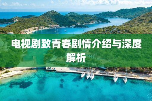 電視劇致青春劇情介紹與深度解析