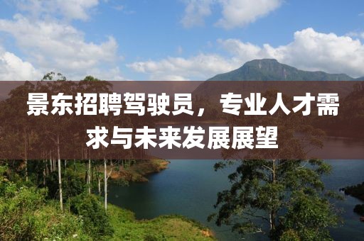 景東招聘駕駛員，專業(yè)人才需求與未來發(fā)展展望