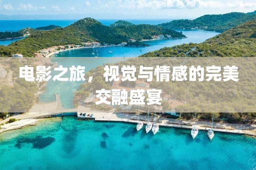 電影之旅，視覺(jué)與情感的完美交融盛宴
