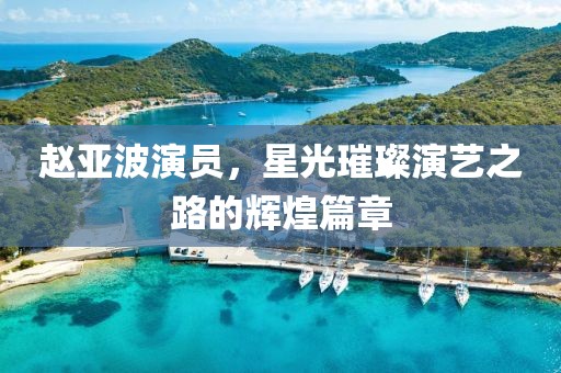 趙亞波演員，星光璀璨演藝之路的輝煌篇章