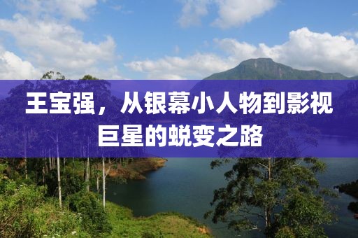 王寶強，從銀幕小人物到影視巨星的蛻變之路