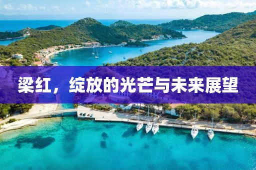 梁紅，綻放的光芒與未來展望