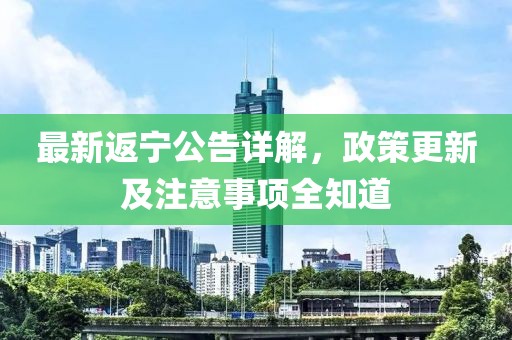 最新返寧公告詳解，政策更新及注意事項(xiàng)全知道