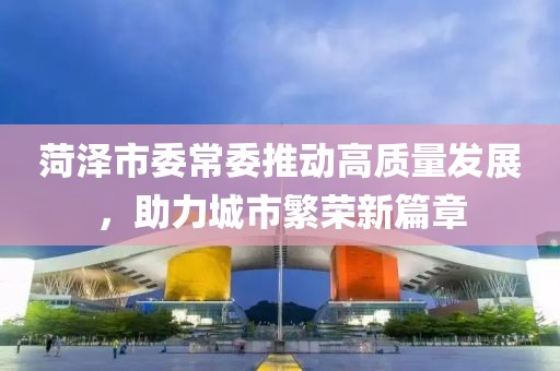 菏澤市委常委推動(dòng)高質(zhì)量發(fā)展，助力城市繁榮新篇章