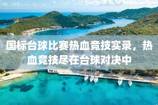 國標臺球比賽熱血競技實錄，熱血競技盡在臺球?qū)Q中