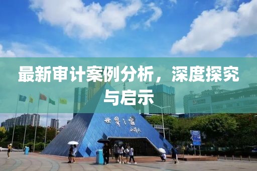 最新審計(jì)案例分析，深度探究與啟示