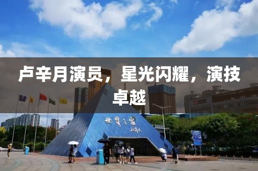 盧辛月演員，星光閃耀，演技卓越