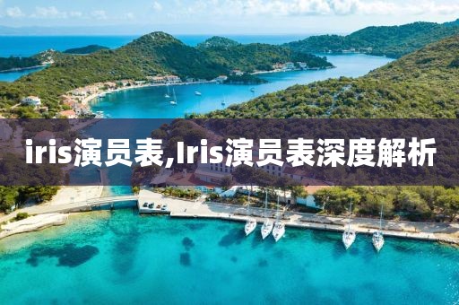 iris演員表,Iris演員表深度解析