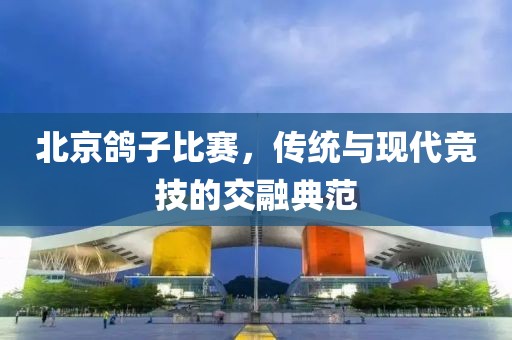 北京鴿子比賽，傳統(tǒng)與現(xiàn)代競技的交融典范