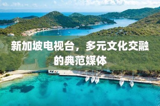 新加坡電視臺(tái)，多元文化交融的典范媒體