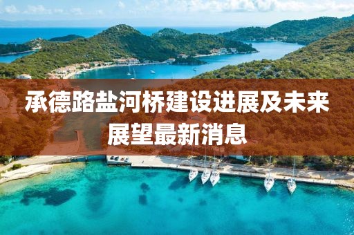 承德路鹽河橋建設(shè)進(jìn)展及未來展望最新消息