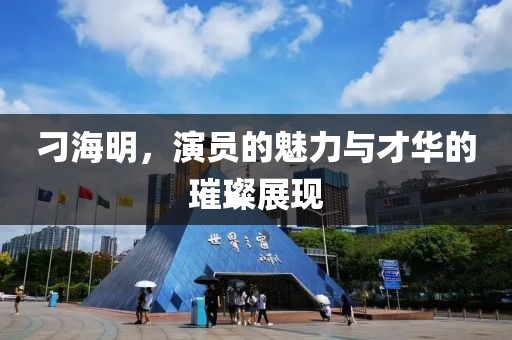 刁海明，演員的魅力與才華的璀璨展現(xiàn)