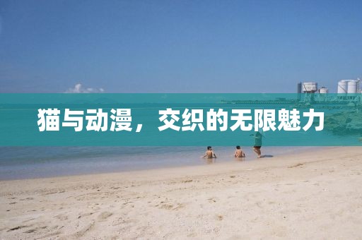 貓與動漫，交織的無限魅力