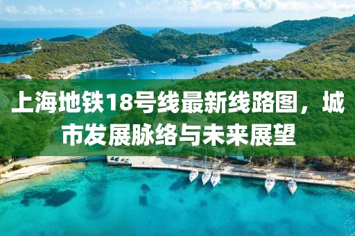 上海地鐵18號線最新線路圖，城市發(fā)展脈絡(luò)與未來展望