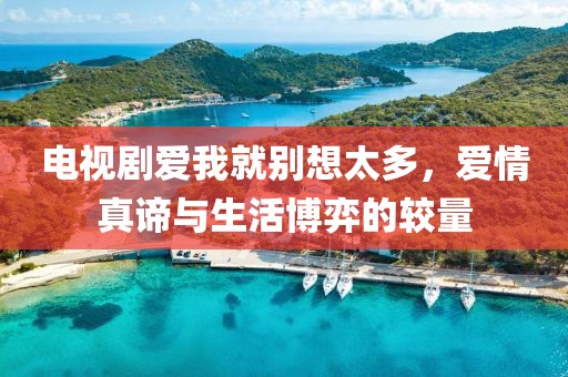 電視劇愛(ài)我就別想太多，愛(ài)情真諦與生活博弈的較量