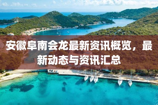 安徽阜南會龍最新資訊概覽，最新動態(tài)與資訊匯總