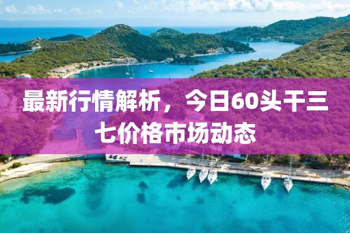 最新行情解析，今日60頭干三七價(jià)格市場(chǎng)動(dòng)態(tài)