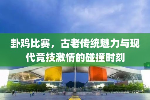 卦雞比賽，古老傳統(tǒng)魅力與現(xiàn)代競(jìng)技激情的碰撞時(shí)刻