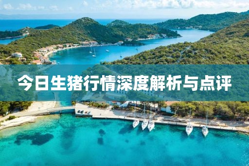今日生豬行情深度解析與點(diǎn)評