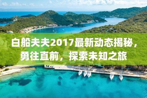 白船夫夫2017最新動(dòng)態(tài)揭秘，勇往直前，探索未知之旅