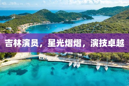 吉林演員，星光熠熠，演技卓越