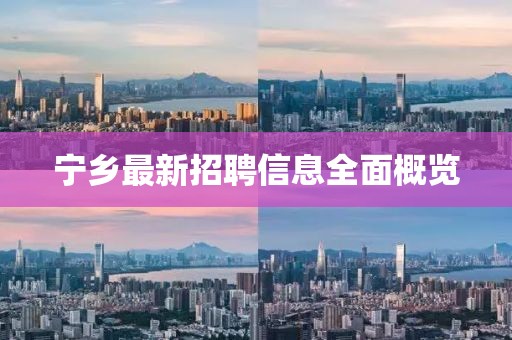 寧鄉(xiāng)最新招聘信息全面概覽