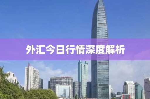 外匯今日行情深度解析