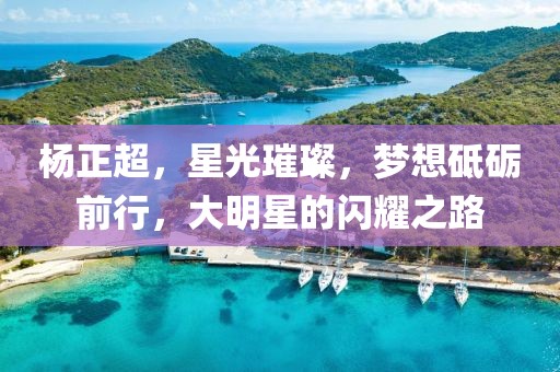 楊正超，星光璀璨，夢想砥礪前行，大明星的閃耀之路