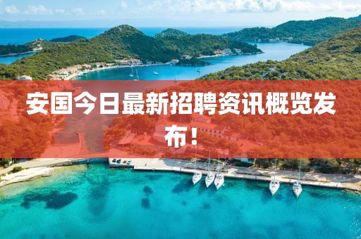 安國今日最新招聘資訊概覽發(fā)布！