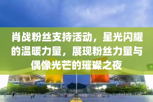 肖戰(zhàn)粉絲支持活動，星光閃耀的溫暖力量，展現(xiàn)粉絲力量與偶像光芒的璀璨之夜