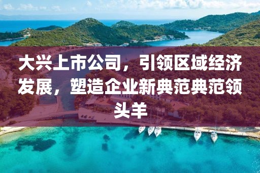 大興上市公司，引領(lǐng)區(qū)域經(jīng)濟(jì)發(fā)展，塑造企業(yè)新典范典范領(lǐng)頭羊