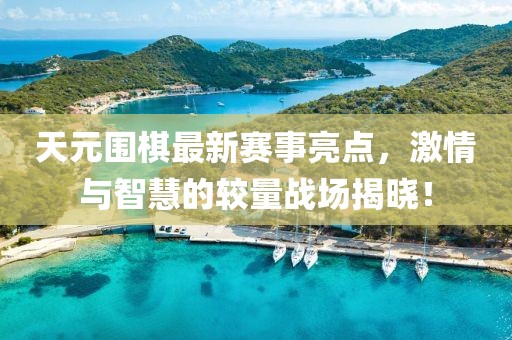 天元圍棋最新賽事亮點，激情與智慧的較量戰(zhàn)場揭曉！