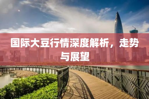 國際大豆行情深度解析，走勢與展望