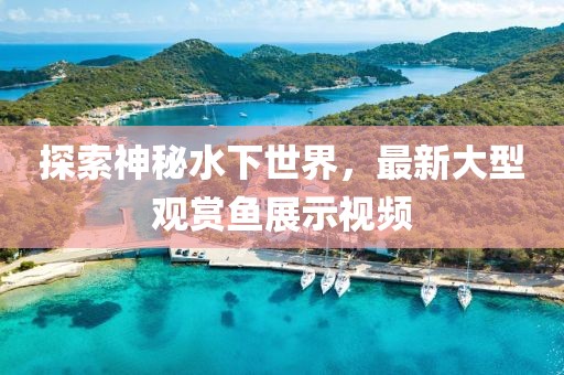 探索神秘水下世界，最新大型觀賞魚展示視頻