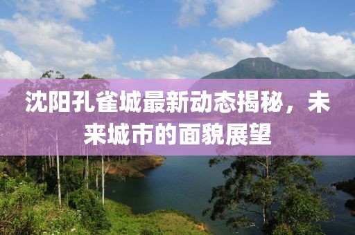 沈陽(yáng)孔雀城最新動(dòng)態(tài)揭秘，未來(lái)城市的面貌展望