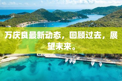 萬慶良最新動(dòng)態(tài)，回顧過去，展望未來。