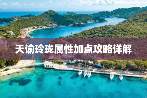天諭玲瓏屬性加點(diǎn)攻略詳解