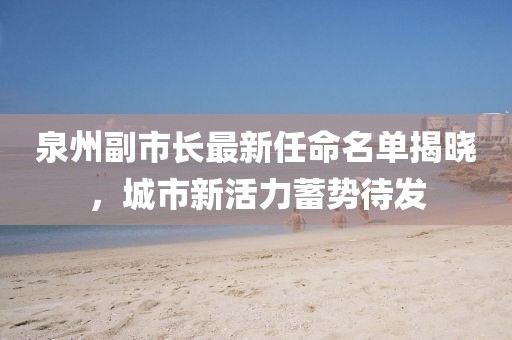 泉州副市長(zhǎng)最新任命名單揭曉，城市新活力蓄勢(shì)待發(fā)
