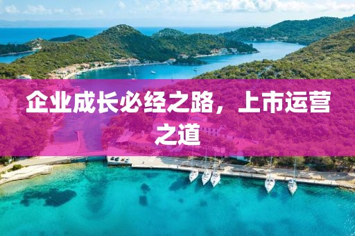 企業(yè)成長必經(jīng)之路，上市運(yùn)營之道