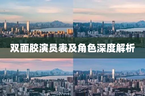 雙面膠演員表及角色深度解析