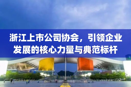 浙江上市公司協(xié)會，引領企業(yè)發(fā)展的核心力量與典范標桿