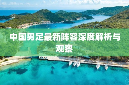 中國男足最新陣容深度解析與觀察
