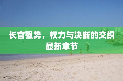 長官強(qiáng)勢，權(quán)力與決斷的交織最新章節(jié)