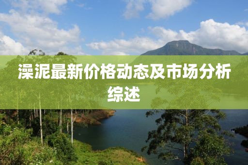 澡泥最新價(jià)格動(dòng)態(tài)及市場分析綜述