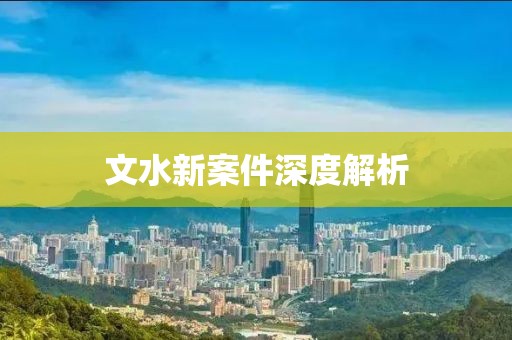 文水新案件深度解析