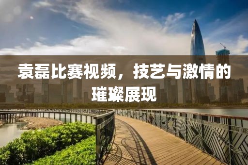 袁磊比賽視頻，技藝與激情的璀璨展現