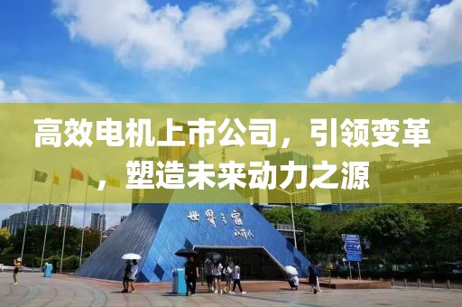 高效電機(jī)上市公司，引領(lǐng)變革，塑造未來動力之源