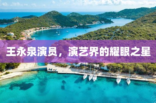 王永泉演員，演藝界的耀眼之星