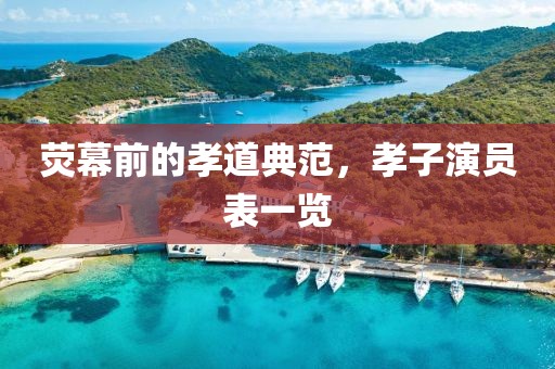 熒幕前的孝道典范，孝子演員表一覽